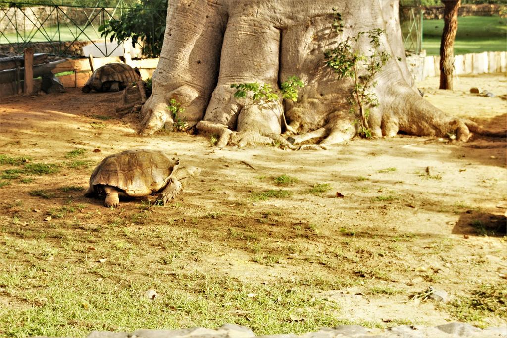 Africa 6 Plage Somone Ngoại thất bức ảnh